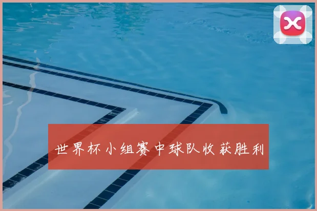 世界杯小组赛中球队收获胜利