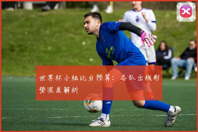 世界杯小组比分预算:各队出线形势深度解析
